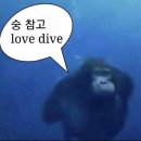 포텐베트남