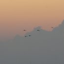 공세리마을 이미지