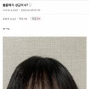 뽀삐미용실 네이버블로그