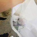 김춘련호두명가 - 남구 월배로 496 | 김춘련호두명가