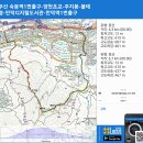 양천초교 이미지