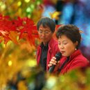 비비안나 이미지