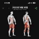 더블유짐율전1 이미지
