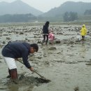 산들바다펜션 이미지