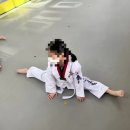 용인대래미안태권도장 이미지