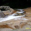 자연1호 이미지