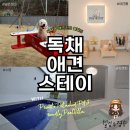 골안 | 경주애견동반펜션 추천 독채애견스테이 경주애견동반풀빌라 후기