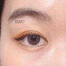 블루브라운 이미지