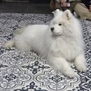 겨울이 머무는 집 이미지