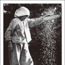 김만덕 기념관 이미지