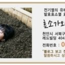 효소가와 네이버블로그
