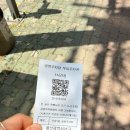 울산밀면전문점 | [울산] 울산 밀면 전문점 본점 후기