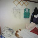 작은모텔 이미지