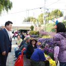 내린천자원 이미지