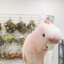 가든조류원 이미지