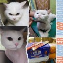 짱구와 동팔이 이미지