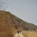 속리산둘레길 보은길1 이미지