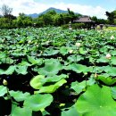 카네기무도장 이미지