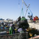 해남군-15 이미지