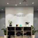 성북천(고려대로5길) | [일상] 육회&amp;연어회, 두쫀쿠 초코파이, 던킨 두바이먼치킨, PT수업기록, 몇년만에 만난 동기들과...