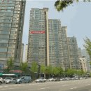 분당-275 이미지