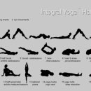 요가(기초오후) 이미지