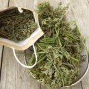 송이목장 이미지