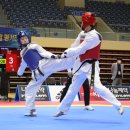 경희대 도복소리 태권도장 이미지