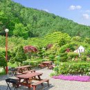 해피데이펜션 이미지