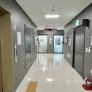 시흥 배곧 네일 | 꼼꼼하고 유지력 좋은 네일샵 추천 ‘네일 마메드로’