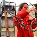 Vigne : et si elle s'adaptait toute seule au climat ? 이미지