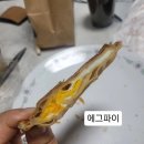 고대로41