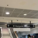 뉴캐슬호스텔 | [251117-22] 호주 워홀 온김에 멜버른 여행기1