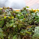 옥천 상계 체육시설 이미지