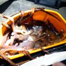 한림모텔 이미지