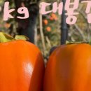 김가네푸드 이미지