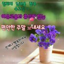 토요일 아침 편지 이미지