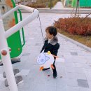 양지근린공원 테니스장 이미지