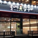 불나는쭈꾸미