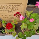 피울경로당 이미지