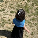 서아목장 이미지