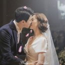 비프원 이미지