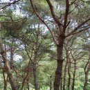 와룡체육공원 이미지