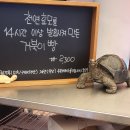 거북이과자점