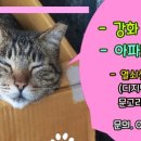 대림유리샷시