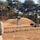 판부면 원호 묘역 강원도민일보