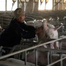 성의농장 2 이미지