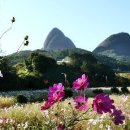 먼산