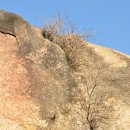 남현동-10 이미지