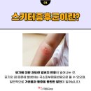 세종이엠365의원 이미지